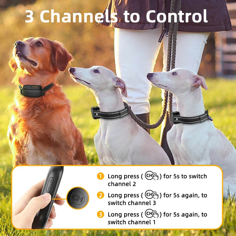 Electric Dog Training Collar – Remote-Control e-Collar for Dog Obedience up to 3300 ft